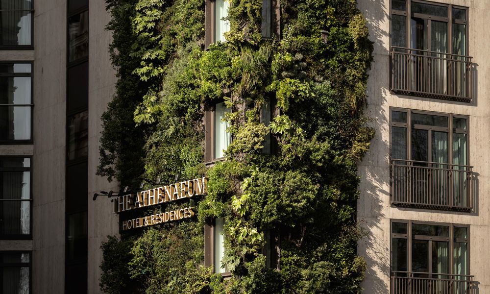 Athenaeum Hotel living wall