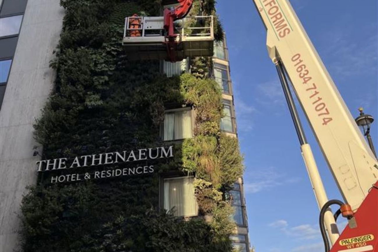 The Athenaeum Hotel & Residences living wall