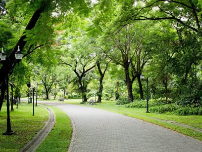 Path through a green London Park