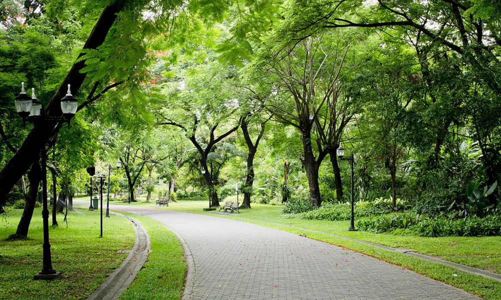 The Athenaeum Hotel & Residences green park