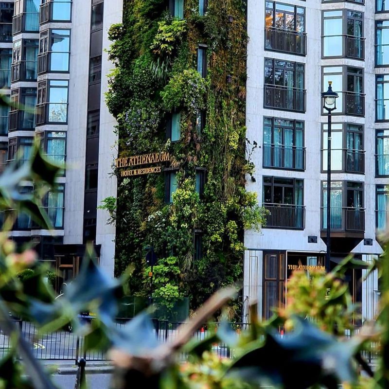 Living Wall outside The Athenaeum Hotel and Residencies