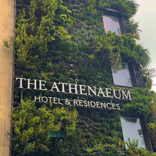 The Athenaeum Hotel iconic living wall