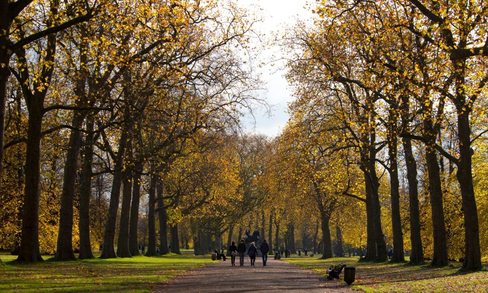 Athenaeum park