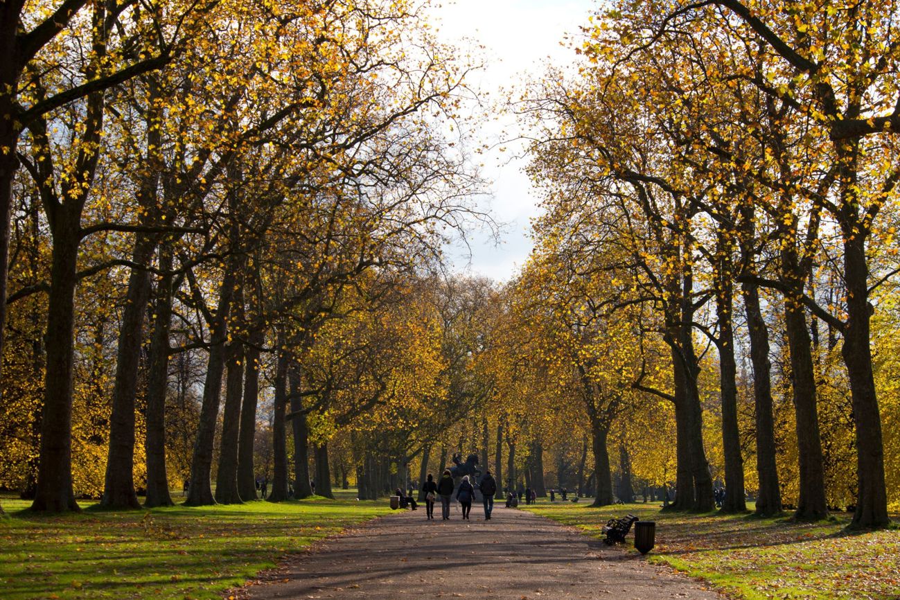Royal Parks