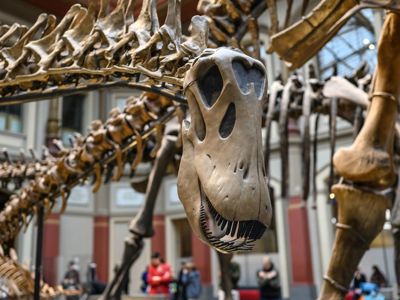 Quirky museums you should visit in London