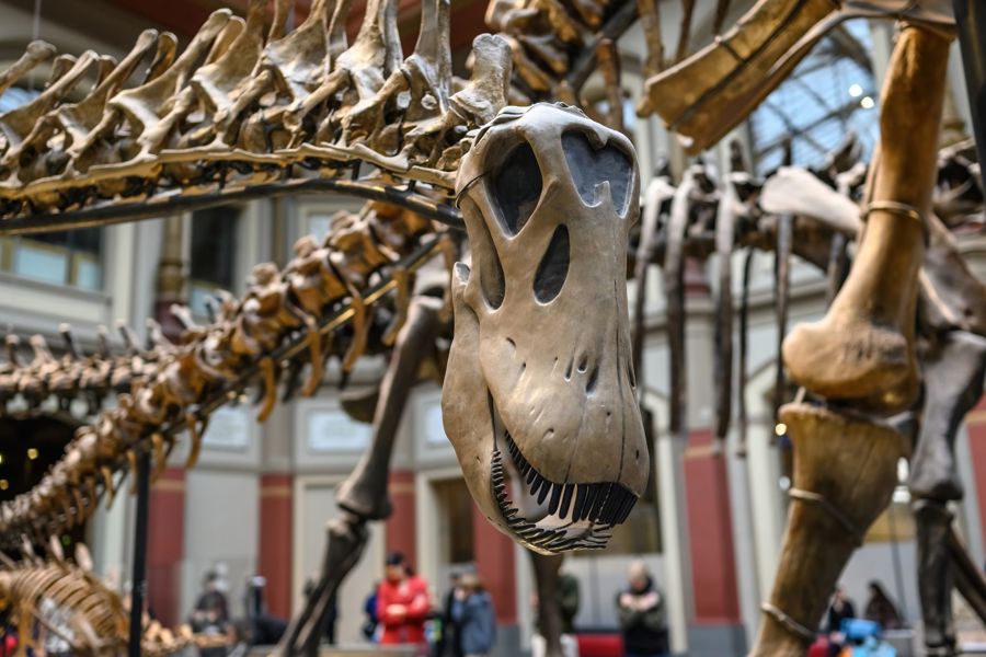 Quirky museums you should visit in London