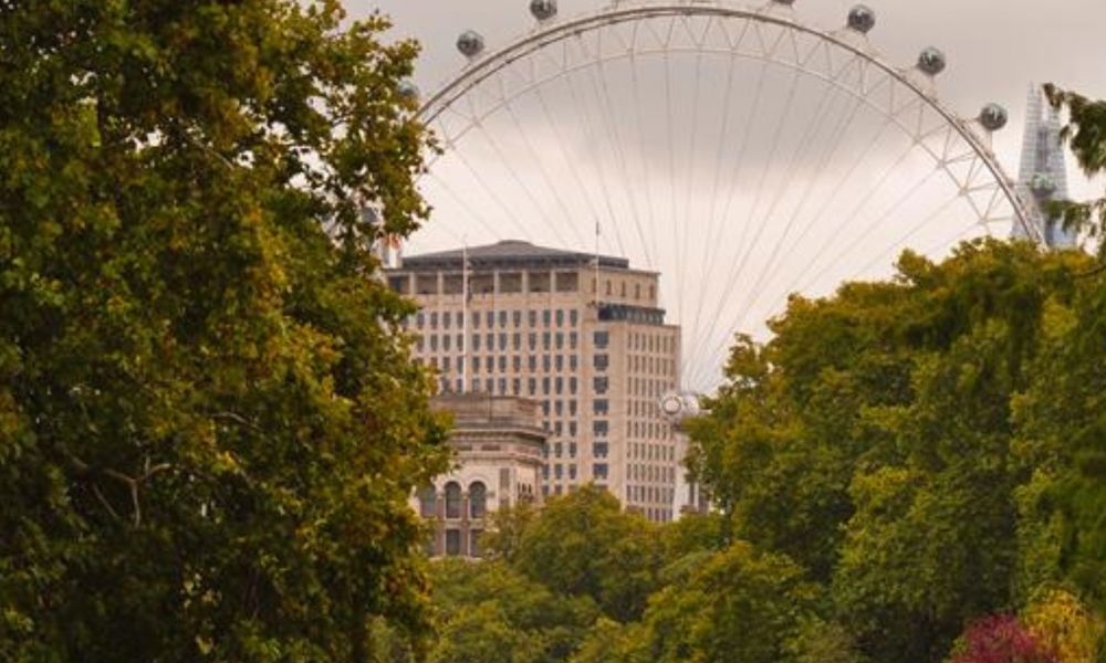 London eye and building through trees