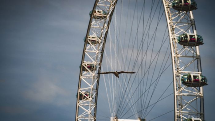 London eye against blue sky