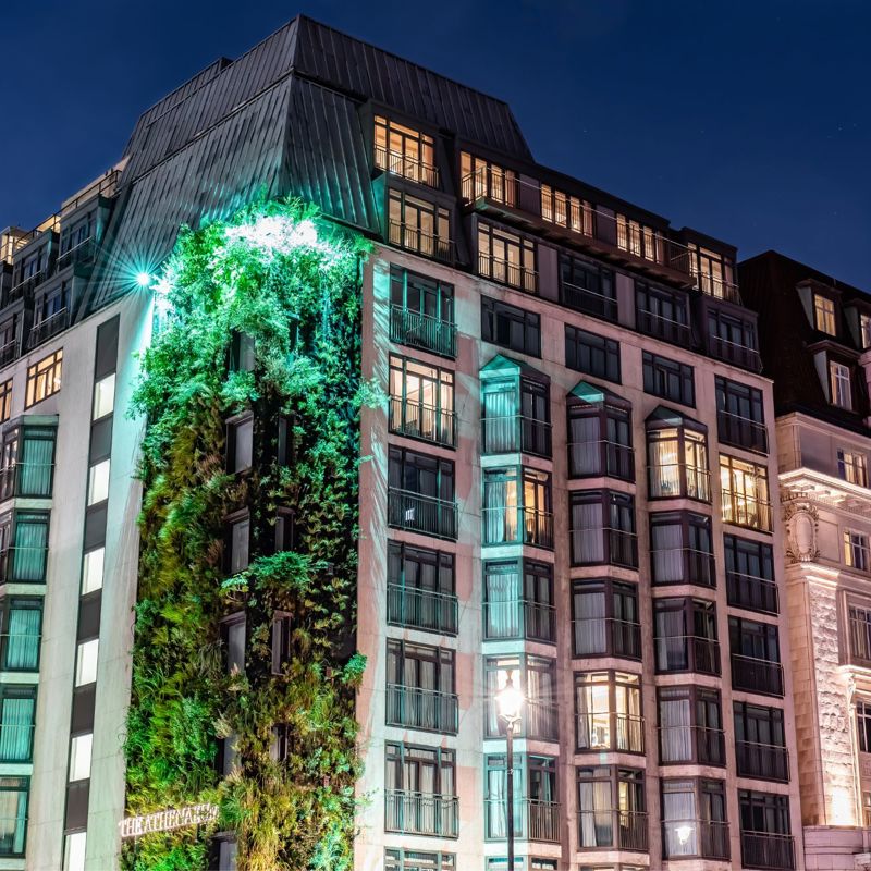 Exterior Living Wall lit up