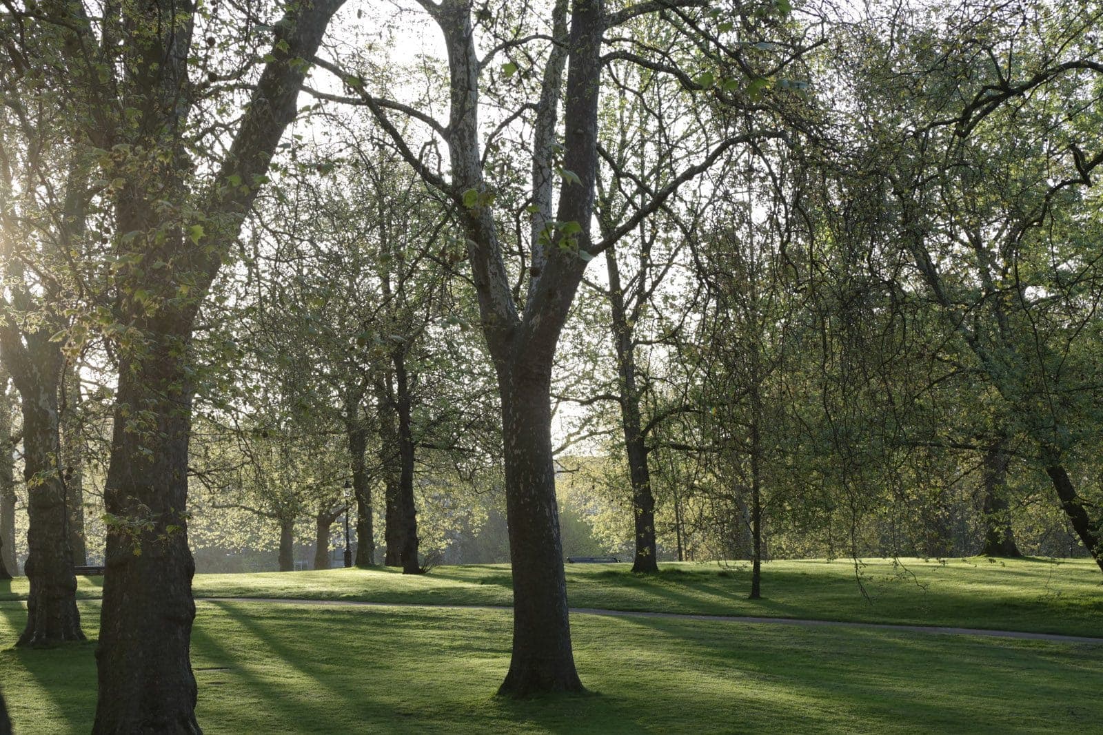 Running in Green Park