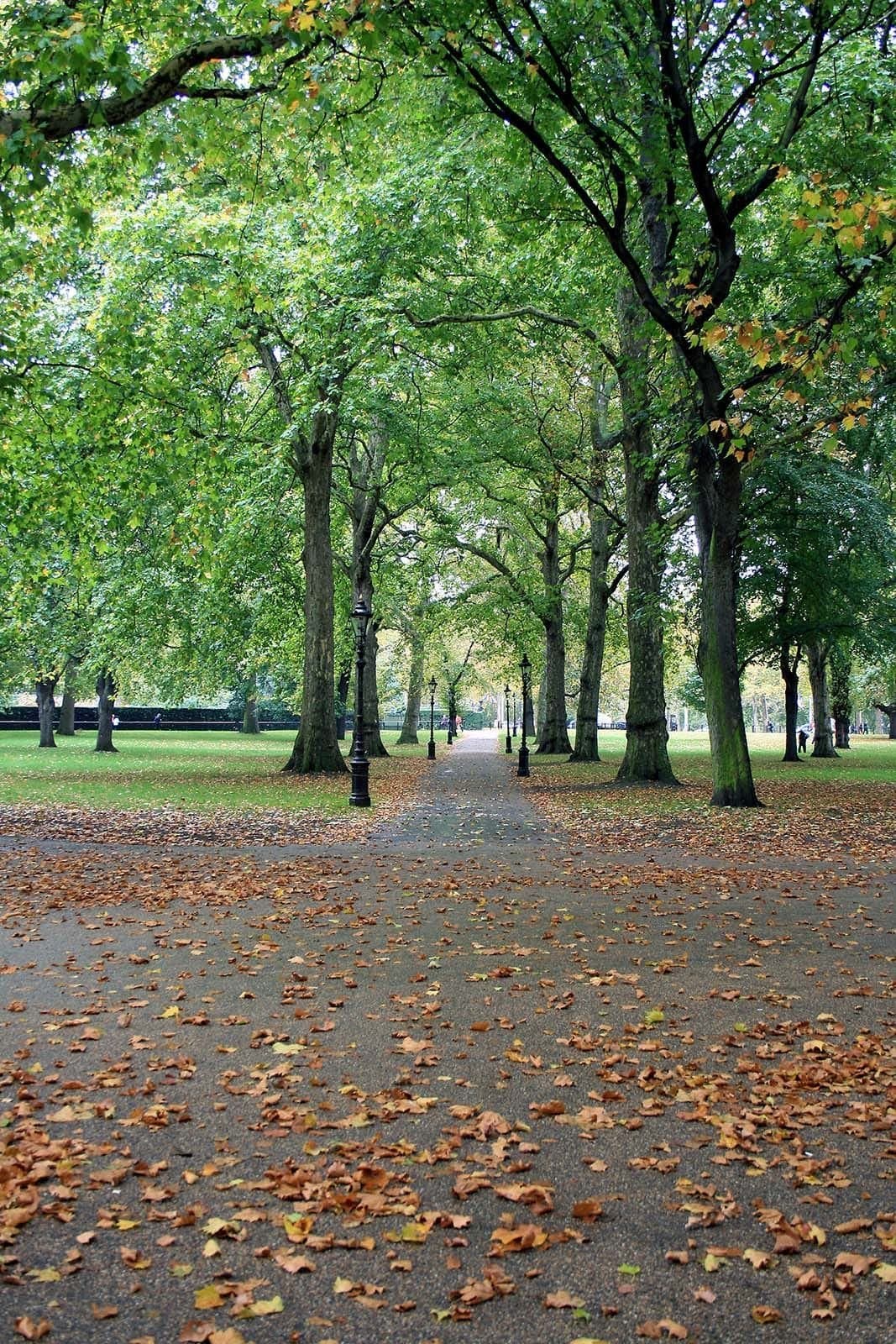 Flickr_-_law_keven_-_Green_Park_in_the_Fall_edited2