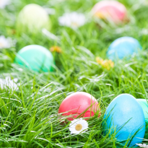 Easter eggs in the grass