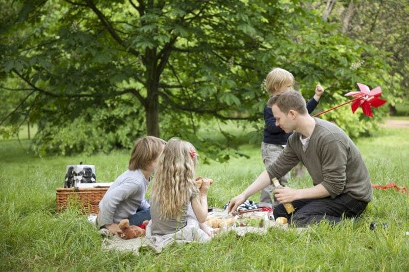 Picnic in Green Park