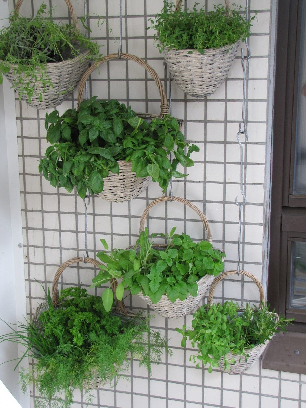 Vertical Garden