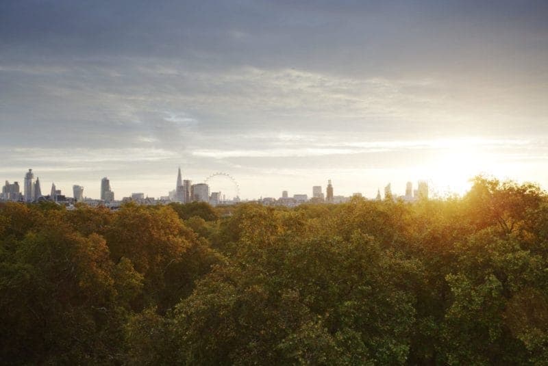 The view of Green Park from The Athenaeum's skyline bar in Central London.