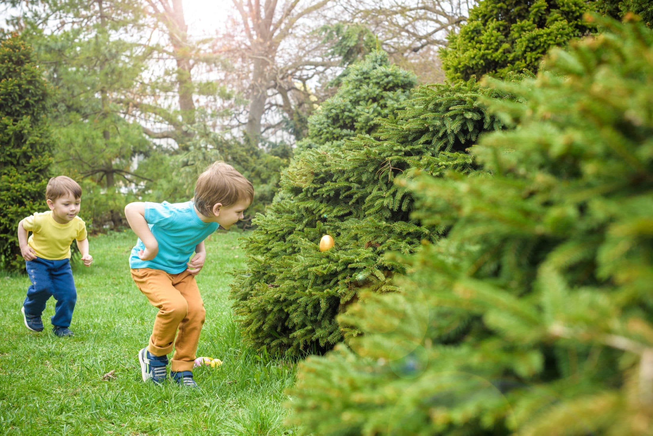 Easter Egg Hunt at The Athenaeum