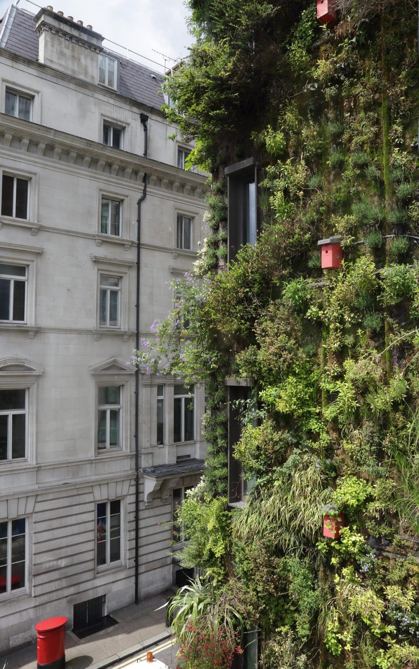 The Living Wall at The Athenaeum. The wall is featured on a 5 star luxury hotel London.