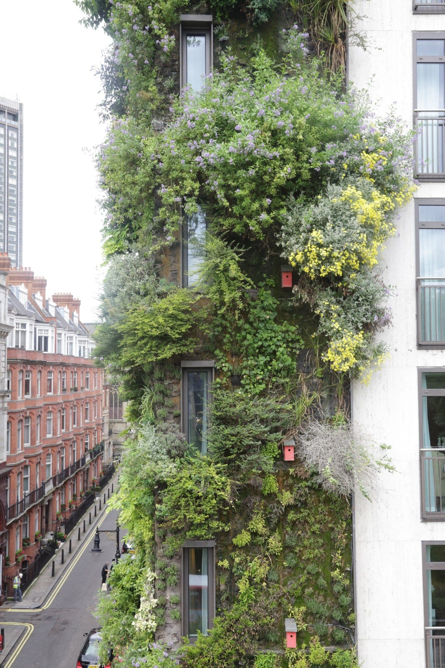 Living Wall at The Athenaeum