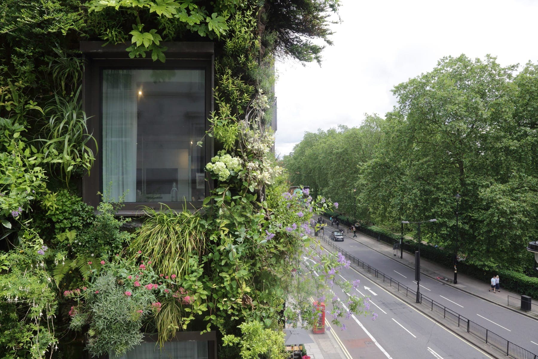 Living Wall at The Athenaeum