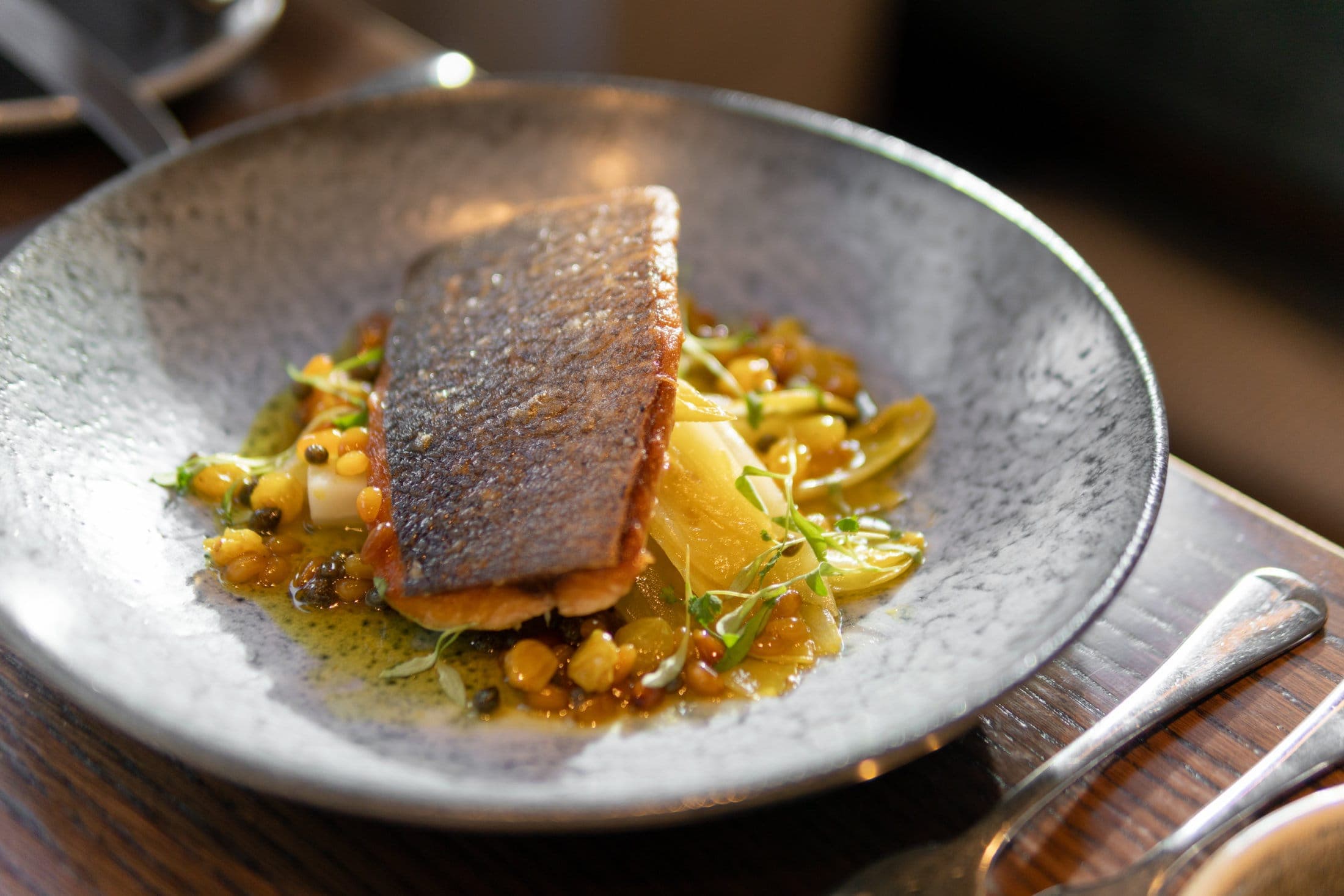 Salmon 116 Dish