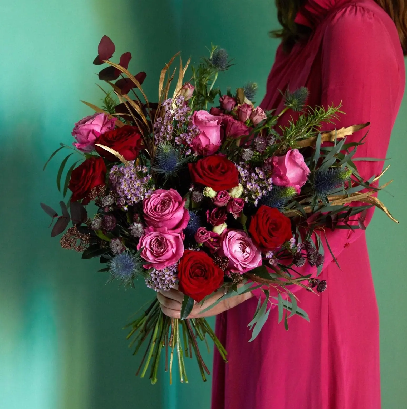 Bloom & Wild Flowers