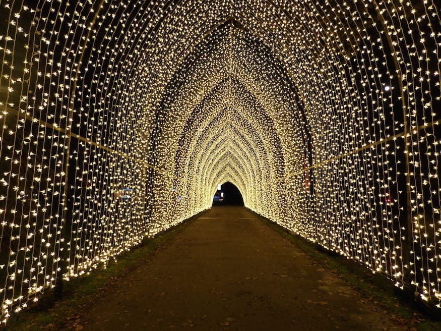 Kew Gardens Christmas