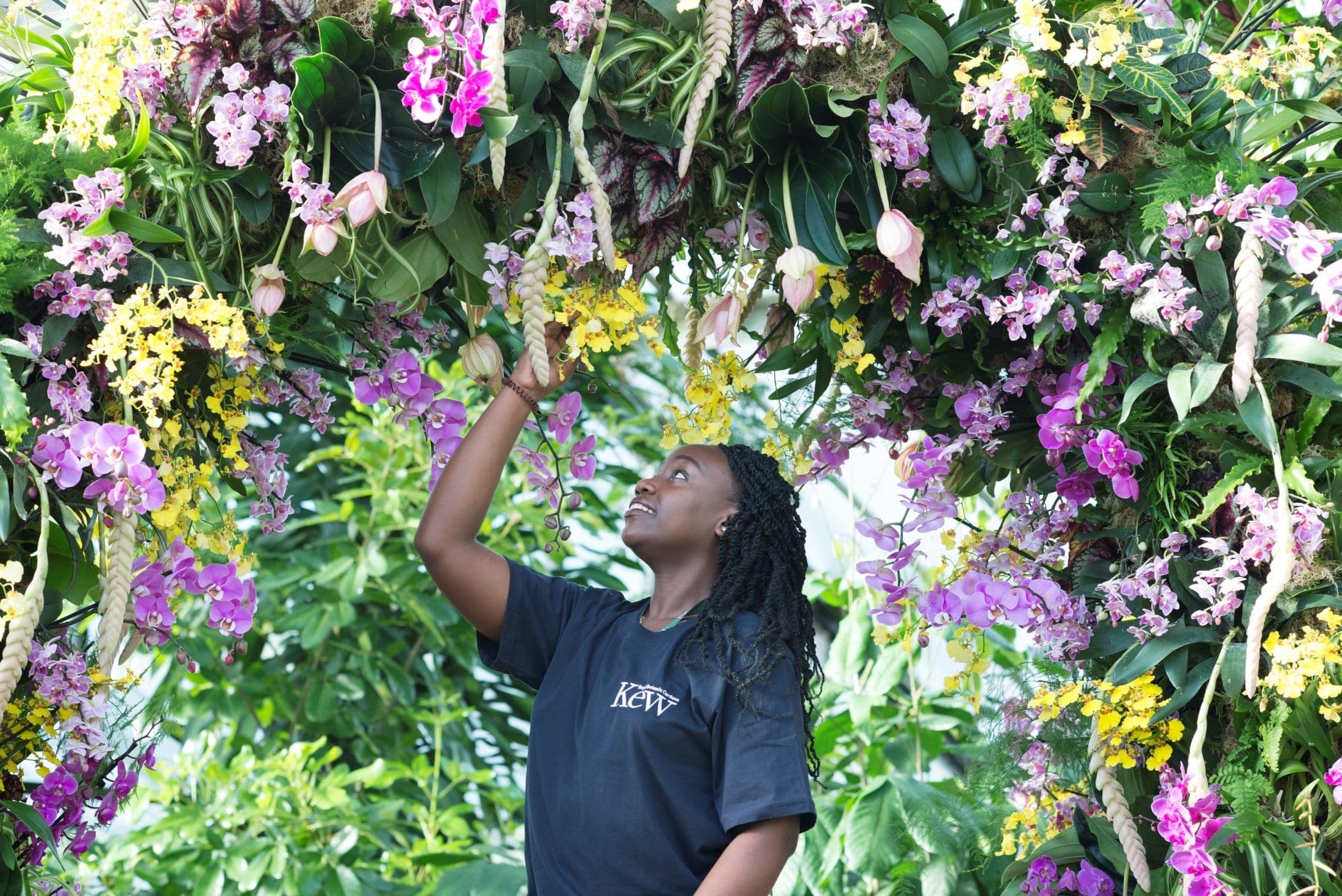 Kew Gardens Orchid Festival