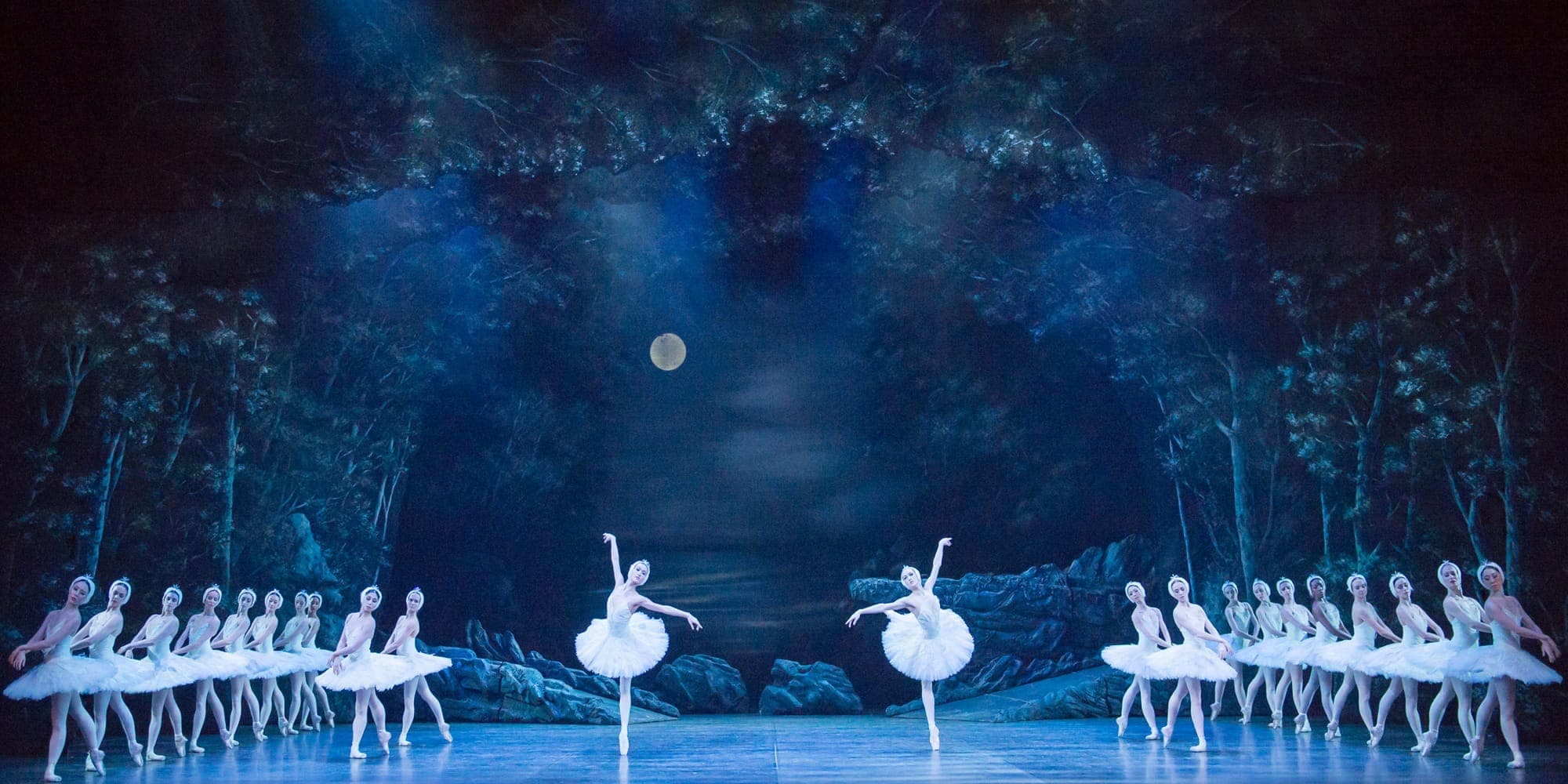 Swan Lake