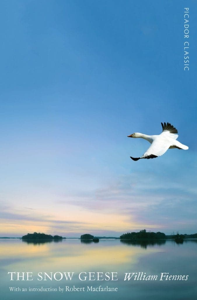 The Snow Geese William Fiennes Book