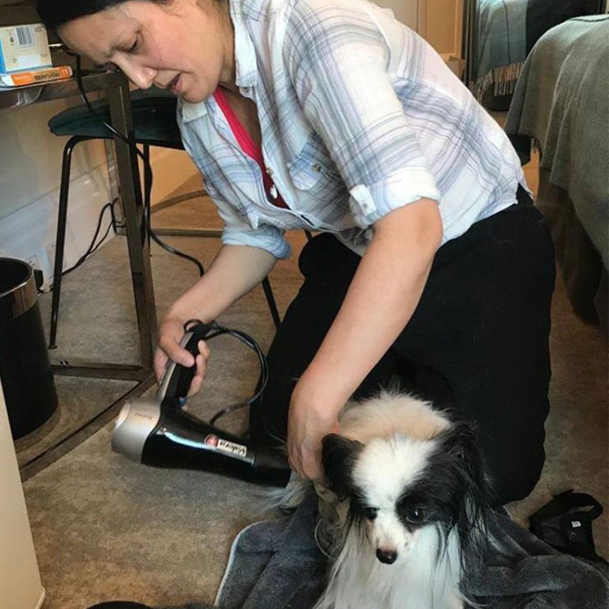 Athenaeum Canine Pampering