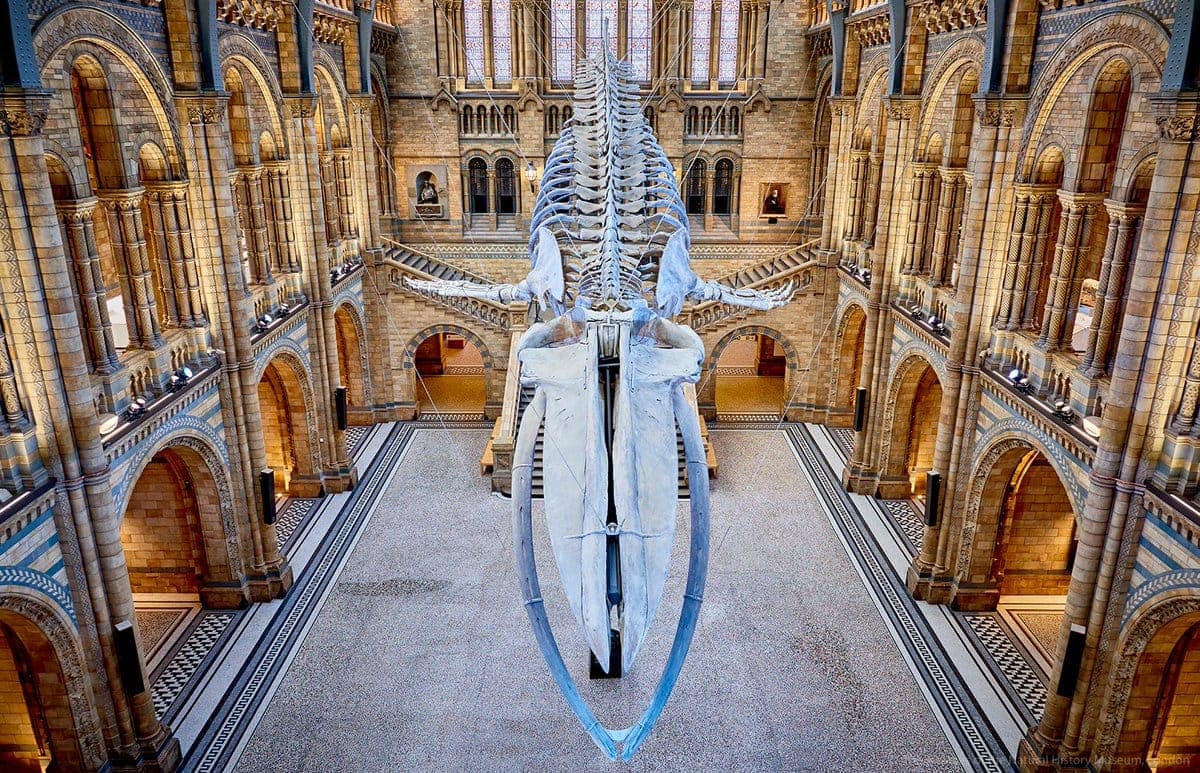 Natural History Museum