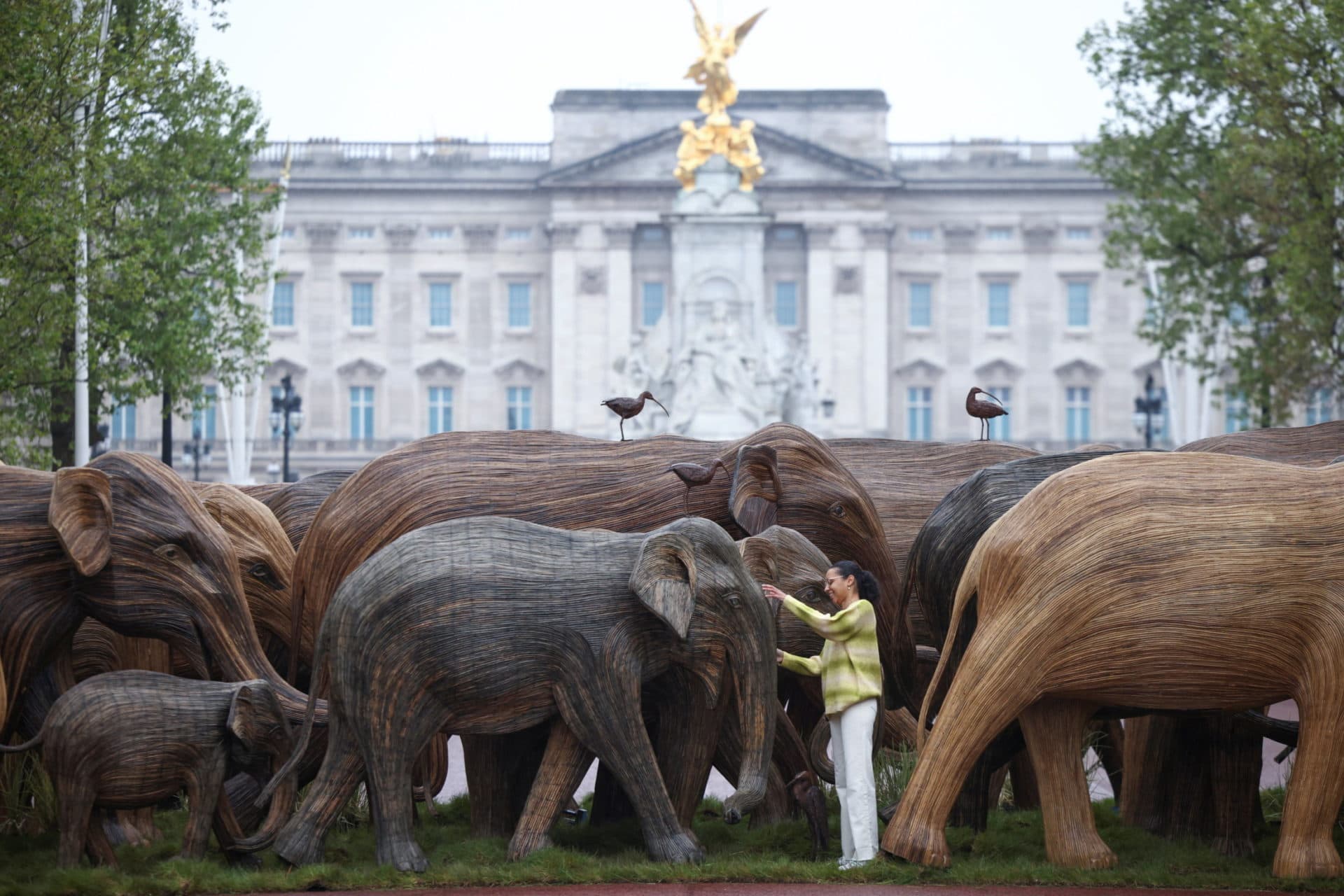 Coexistence Art Exhibition Elephants In Green Park The Athenaeum