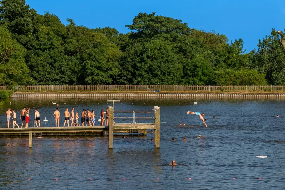 Hampstead Heath Ponds