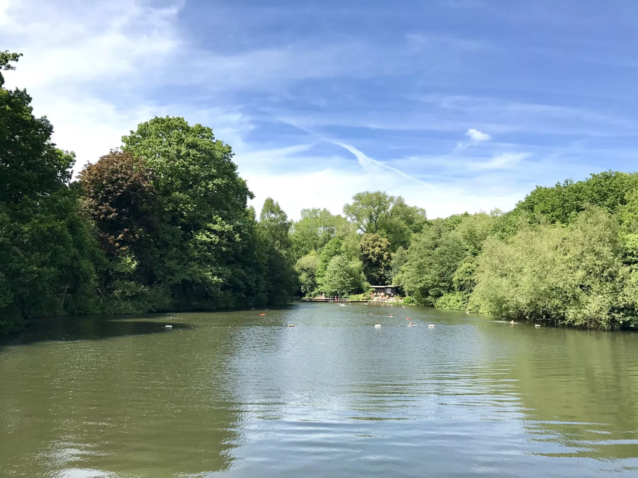 Hampstead Heath ponds