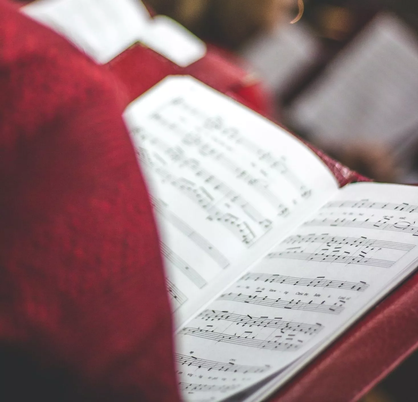 david-beale-rU4kvQKjG2o-unsplash