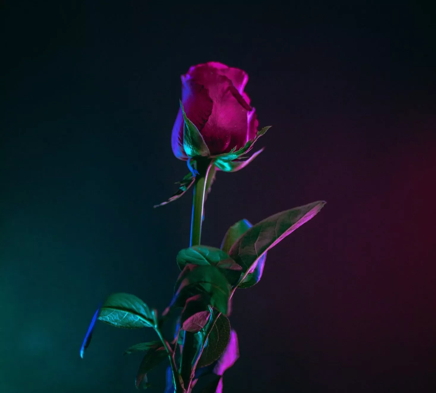 d-ng-tr-n-qu-c-_FSA44MuXn4-unsplash