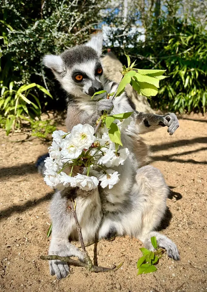 322071770_393240926346747_1702825289031334149_n