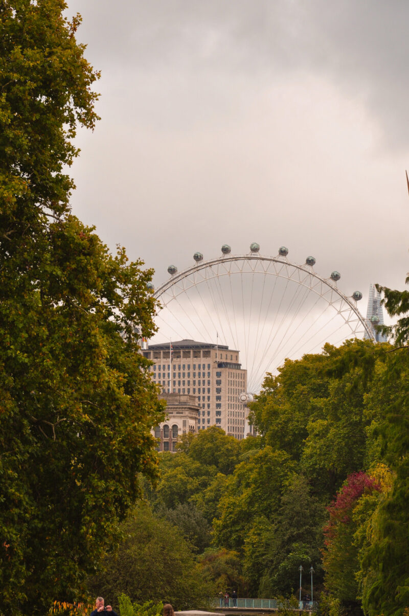 Royal Parks in autumn